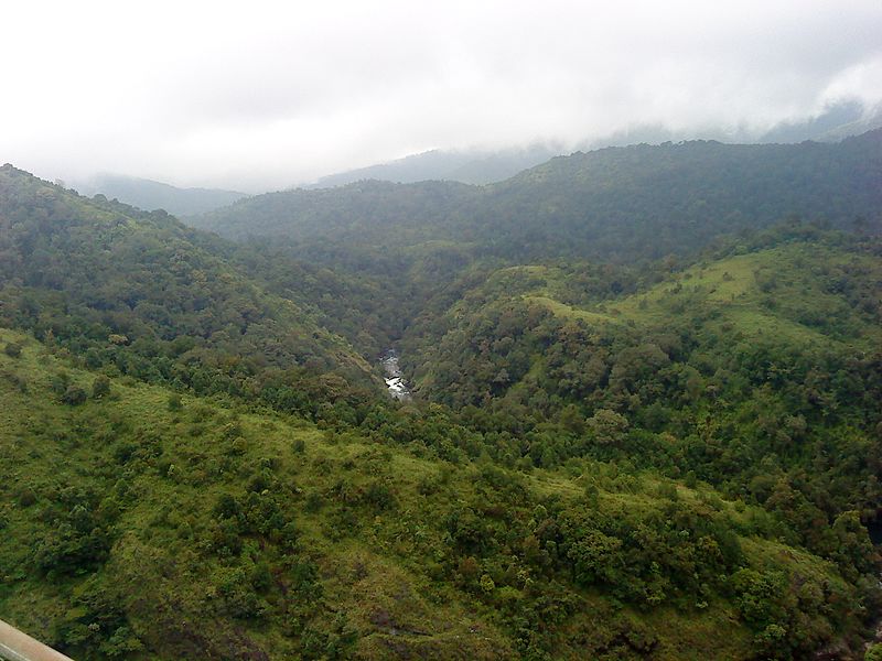 File:Kunti river in Silent Valley National Park.jpg