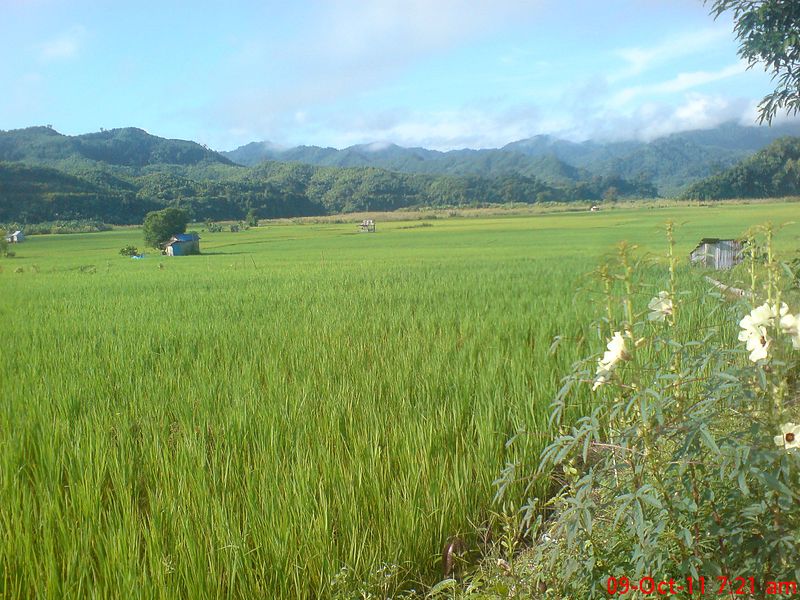 File:Serchhip Zawlpui.jpg