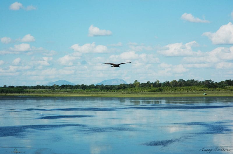 Hesaraghatta Lake