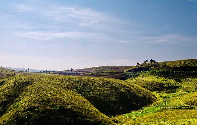 jowai