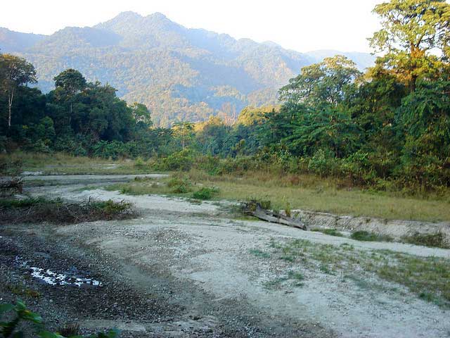 manas-national-park2