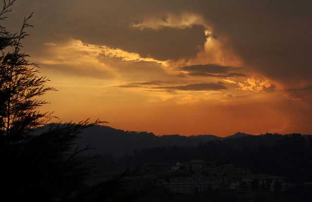ooty