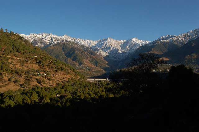palampur