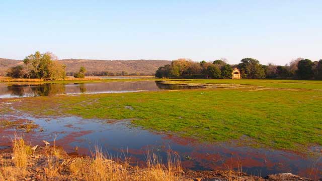 ranthambore-national-park
