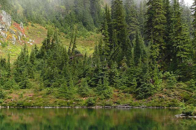 sally-lake