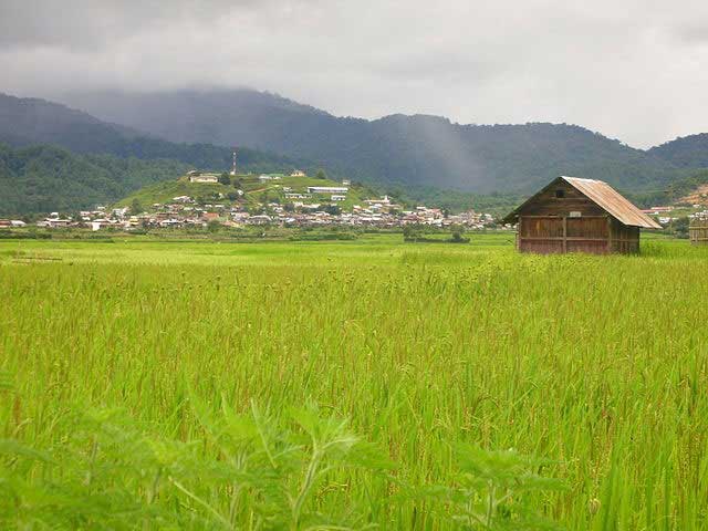 ziro-puto